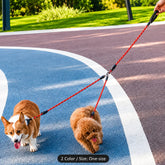 Two small dogs on a red multi-leash harness system outdoors on a blue running track, with a human hand holding the handle at the top right.